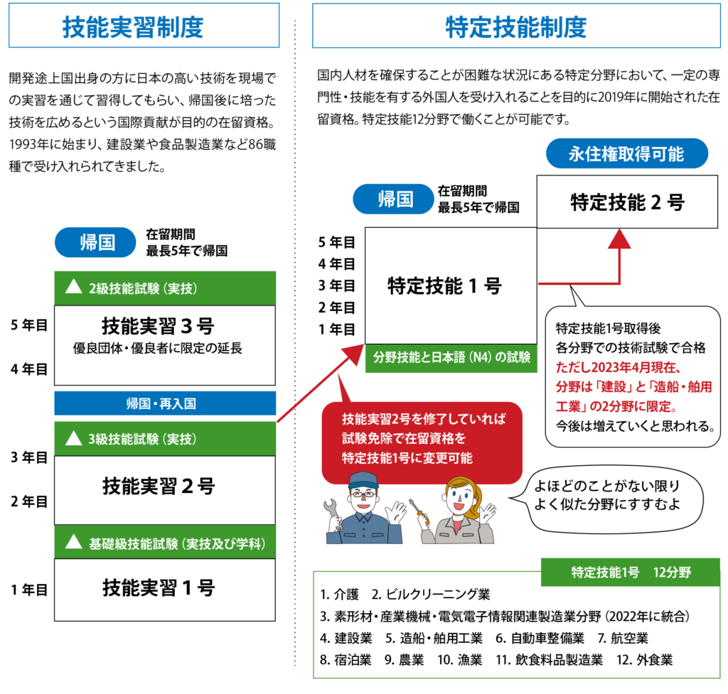 図：技能実習制度と特定技能制度の関係